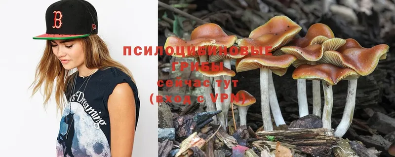 Галлюциногенные грибы Psilocybe  магазин  наркотиков  Ижевск 